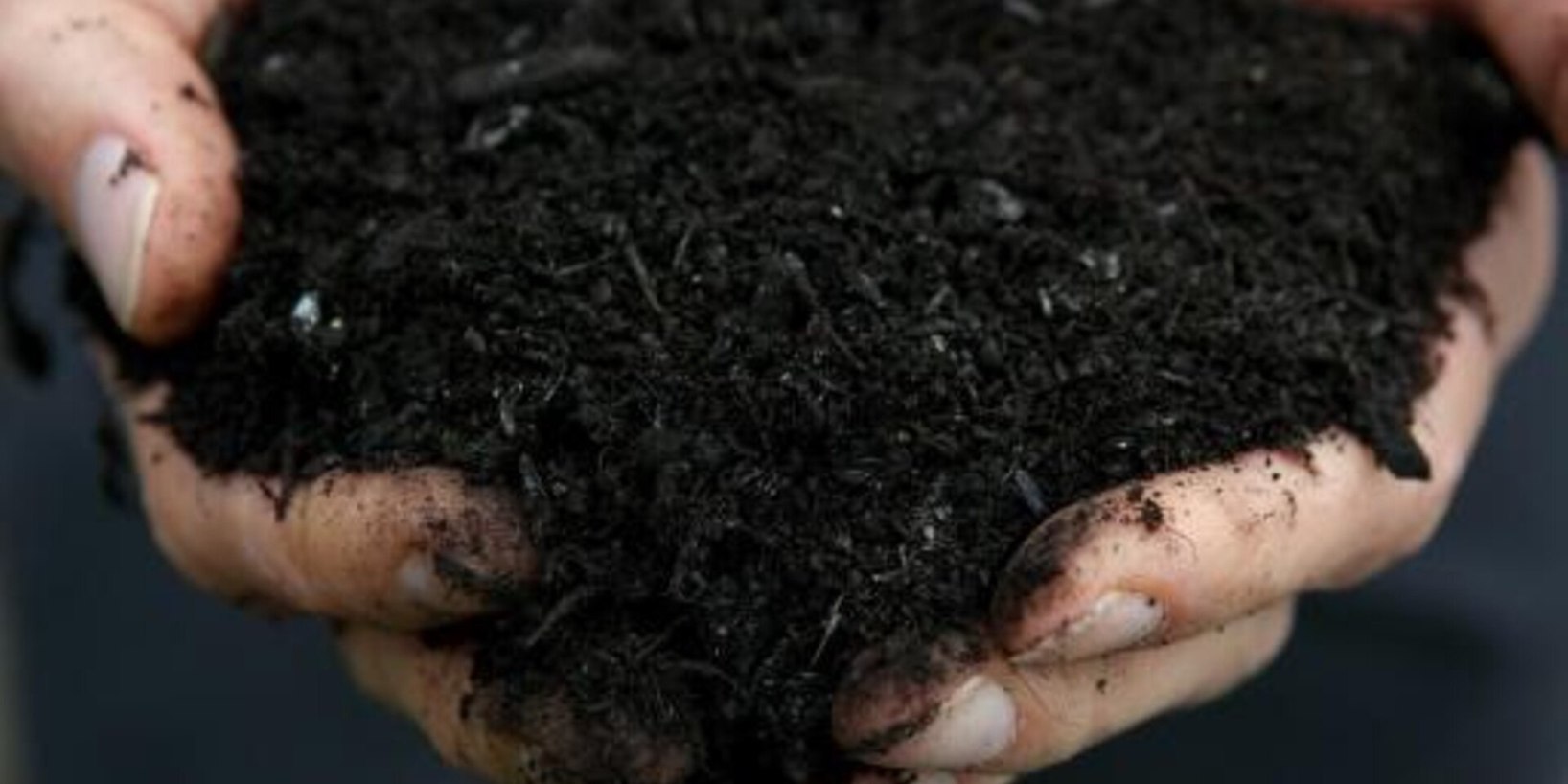 Nueva York aprobará un nuevo proyecto para convertir los restos humanos en compostaje