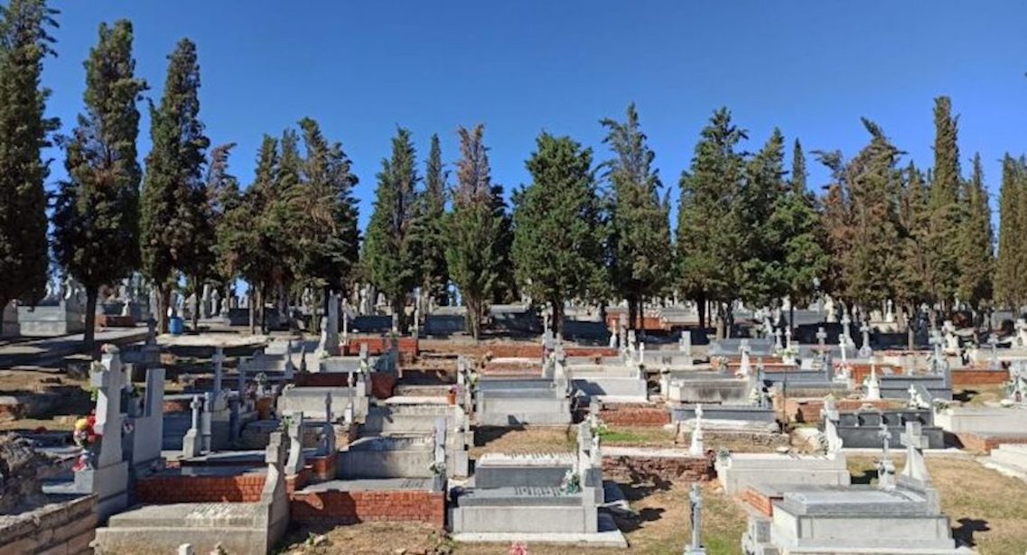 Recriminan al Ayuntamiento pagar 44.000€ a una empresa externa para talar los árboles del cementerio