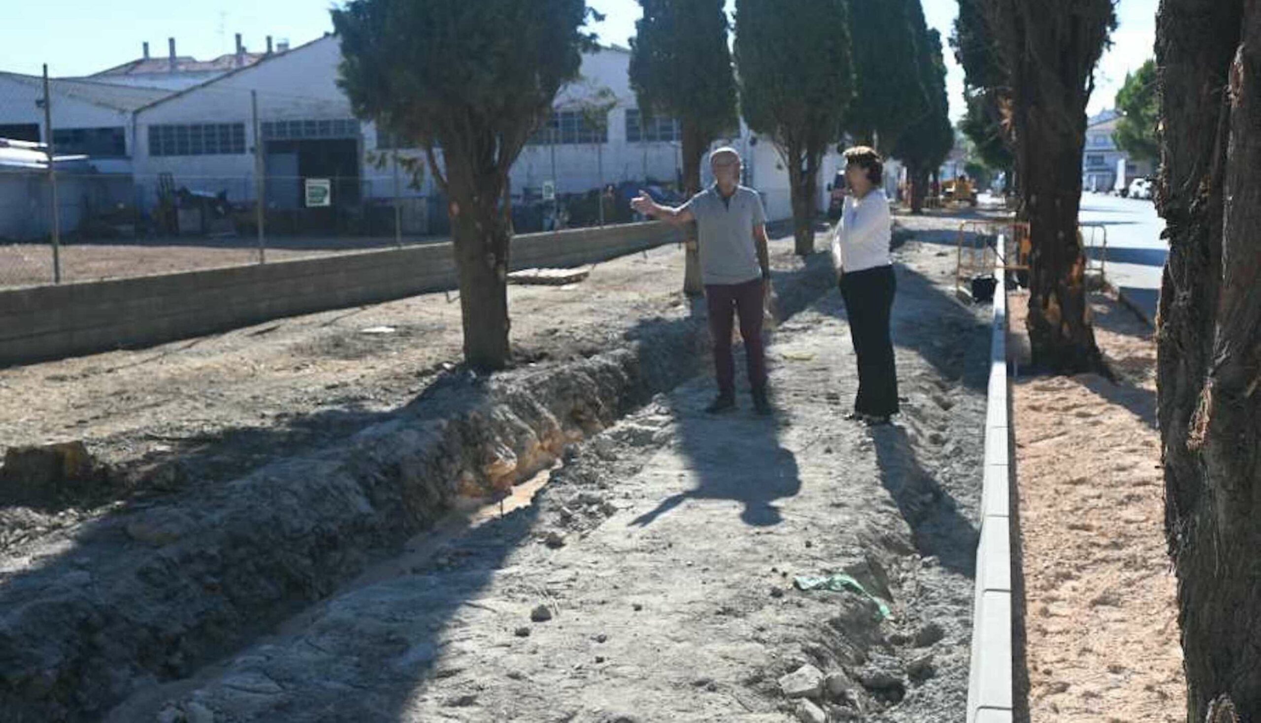 Se ejecutan obras de renovación del Paseo del cementerio de Socuéllamos