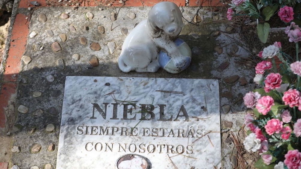 El PP de Melilla asegura que “si gobernamos construiremos un cementerio con crematorio para animales