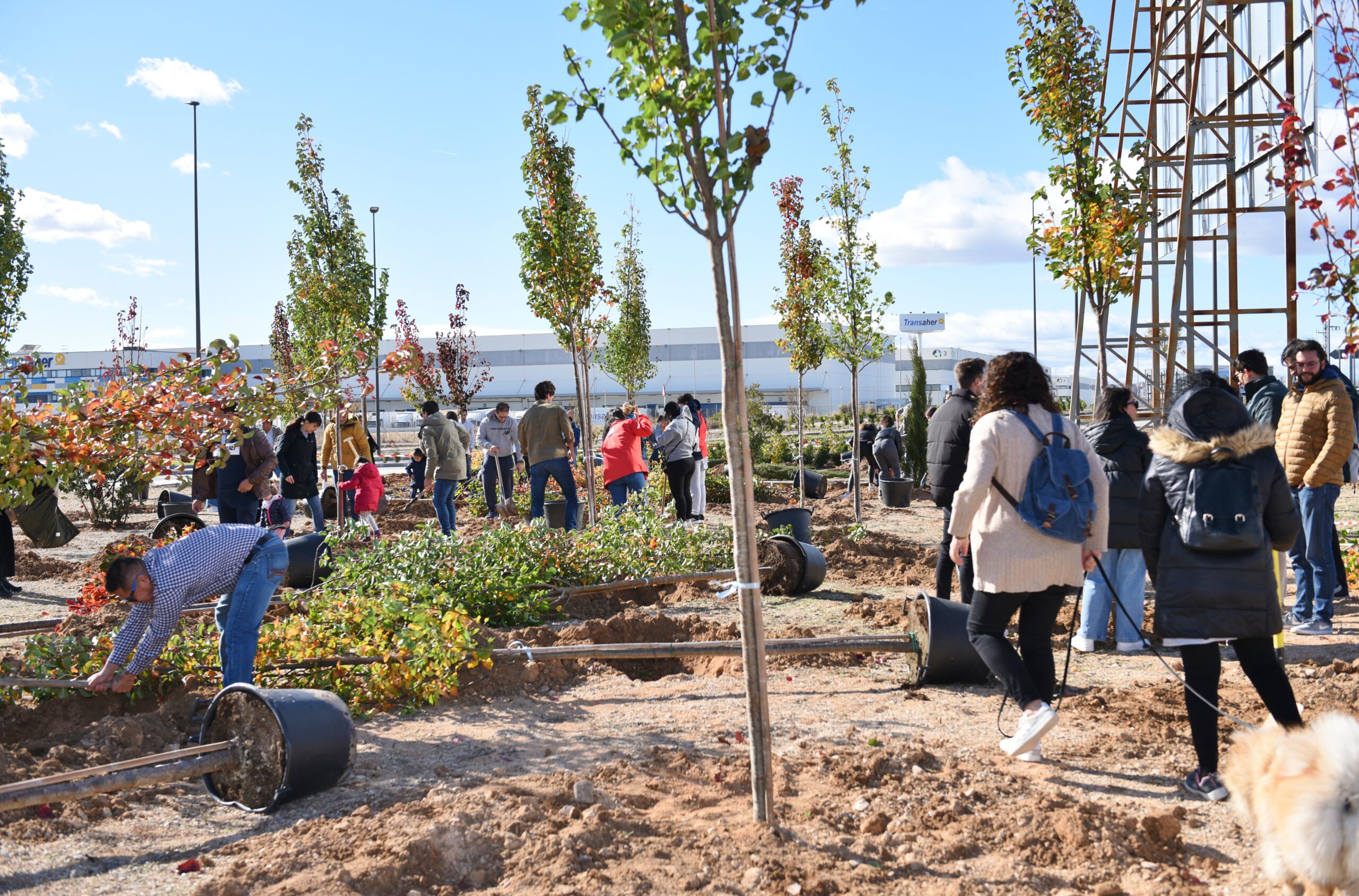 Grupo Albia inicia su proyecto de reforestación ‘Bosque Albia’ en Torrejón de Ardoz