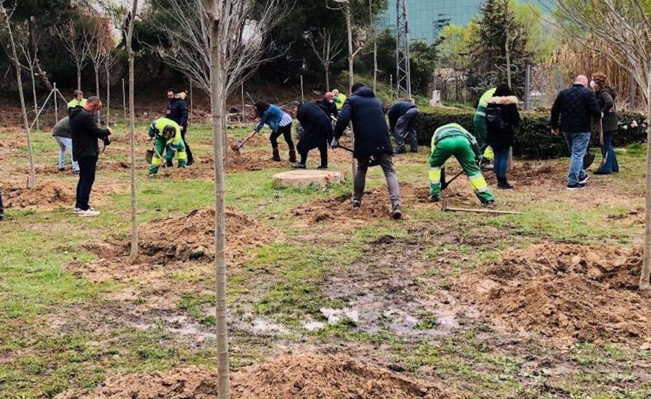 Parcesa apoya por tercer año consecutivo la reforestación del Arroyo de la Vega - El Juncal de Alcobendas