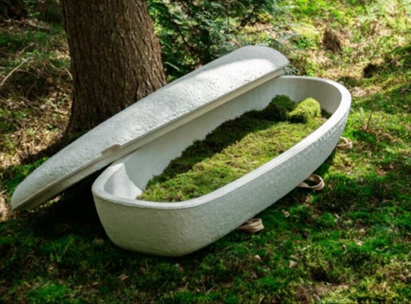 El primer ataúd hecho de hongos una alternativa a los entierros tradicionales