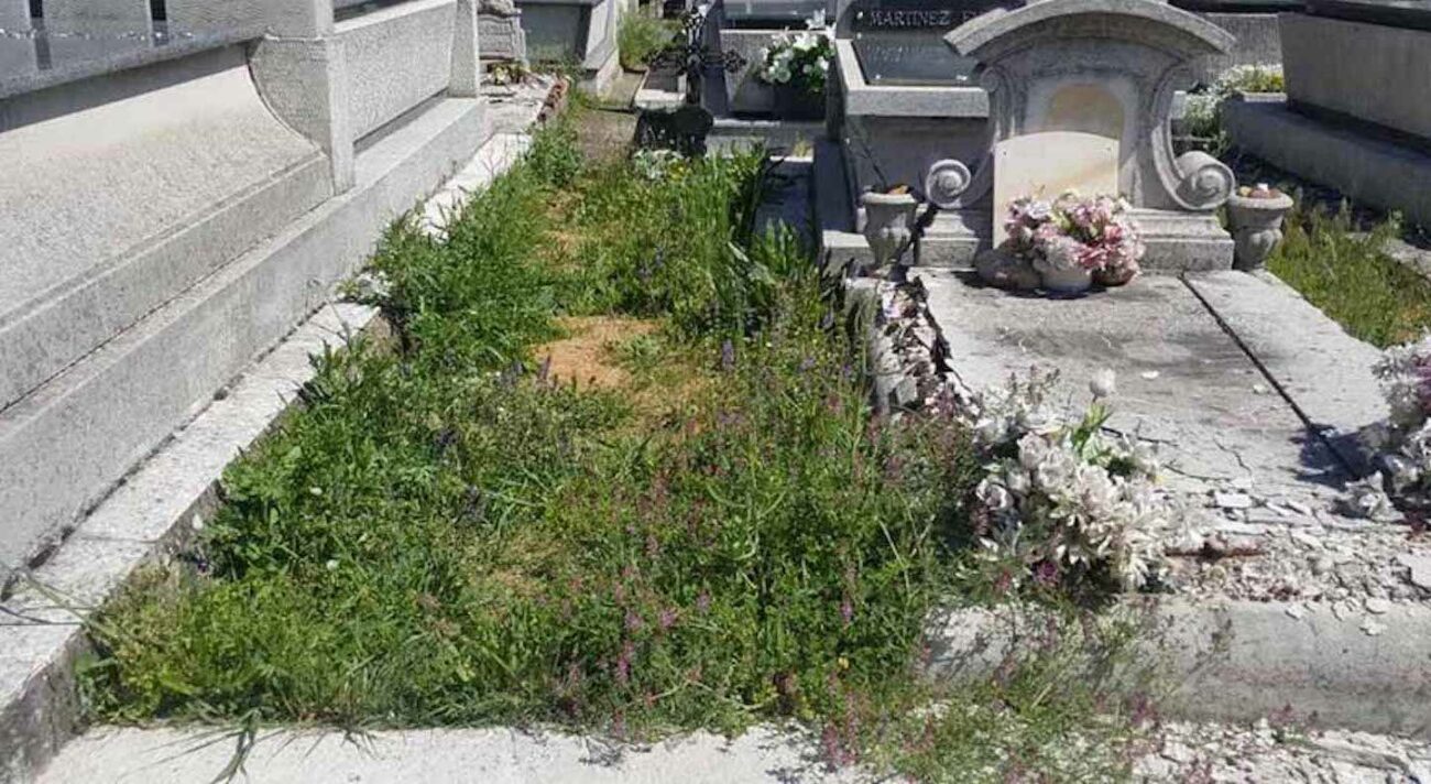 Un exdiputado ha anunciado que se encerrará en el cementerio de San Andrés si no lo arreglan