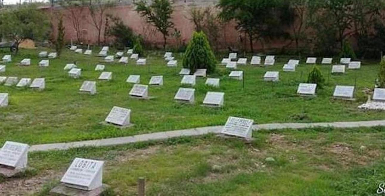 VOX Ceuta presentará en la Asamblea la construcción de un cementerio con crematorio para mascotas