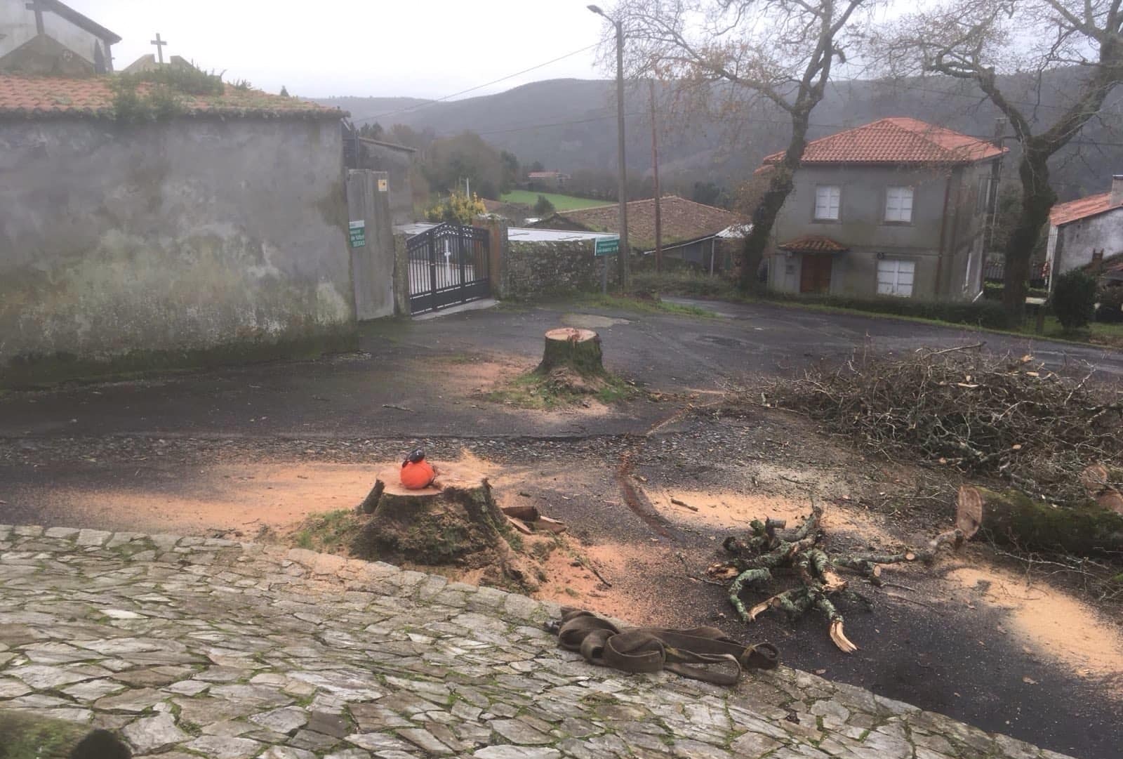 [BREVES] Tala de robles centenarios en el acceso al cementerio // Dos personas atrapadas en el camposanto de Lugo