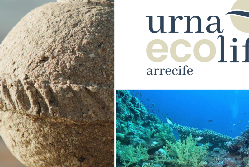 Ecolife: la nueva urna que se convierte en arrecife y potencia la vida marina