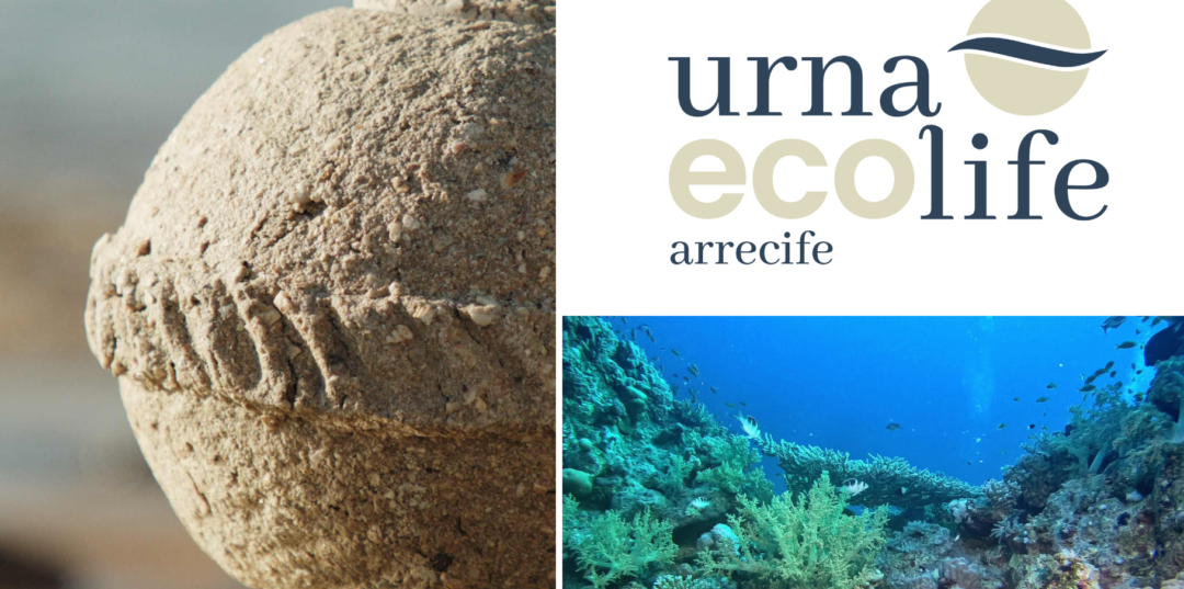 Ecolife: la nueva urna que se convierte en arrecife y potencia la vida marina