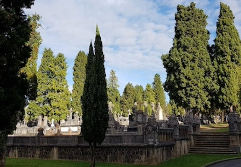 El próximo viernes finaliza el plazo de inscripción del III Concurso de Fotografía del cementerio de Bilbao