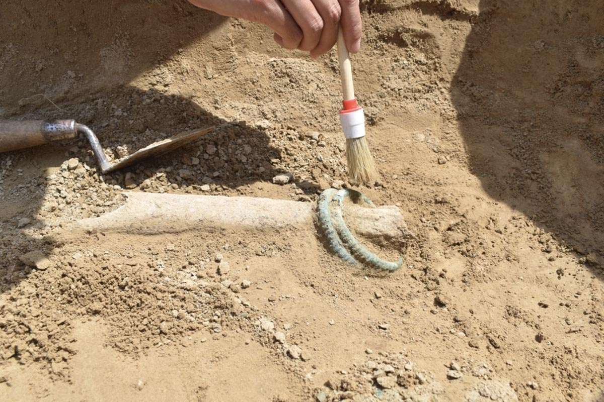 Un hallazgo celta de 2,200 años: Descubren un cementerio antiguo saqueado en Alemania