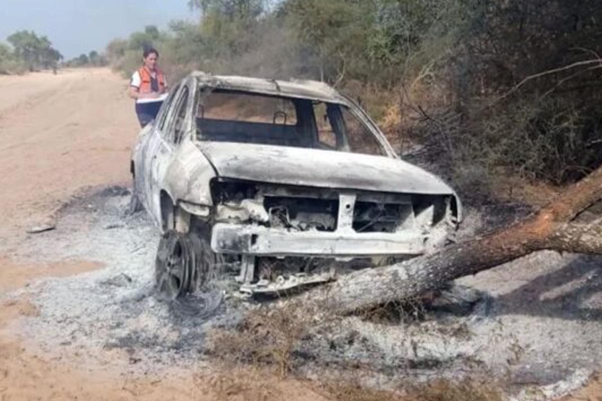 Visita al cementerio termina en tragedia: abejas atacan a un hombre, pierde el control y sufre un fatal accidente