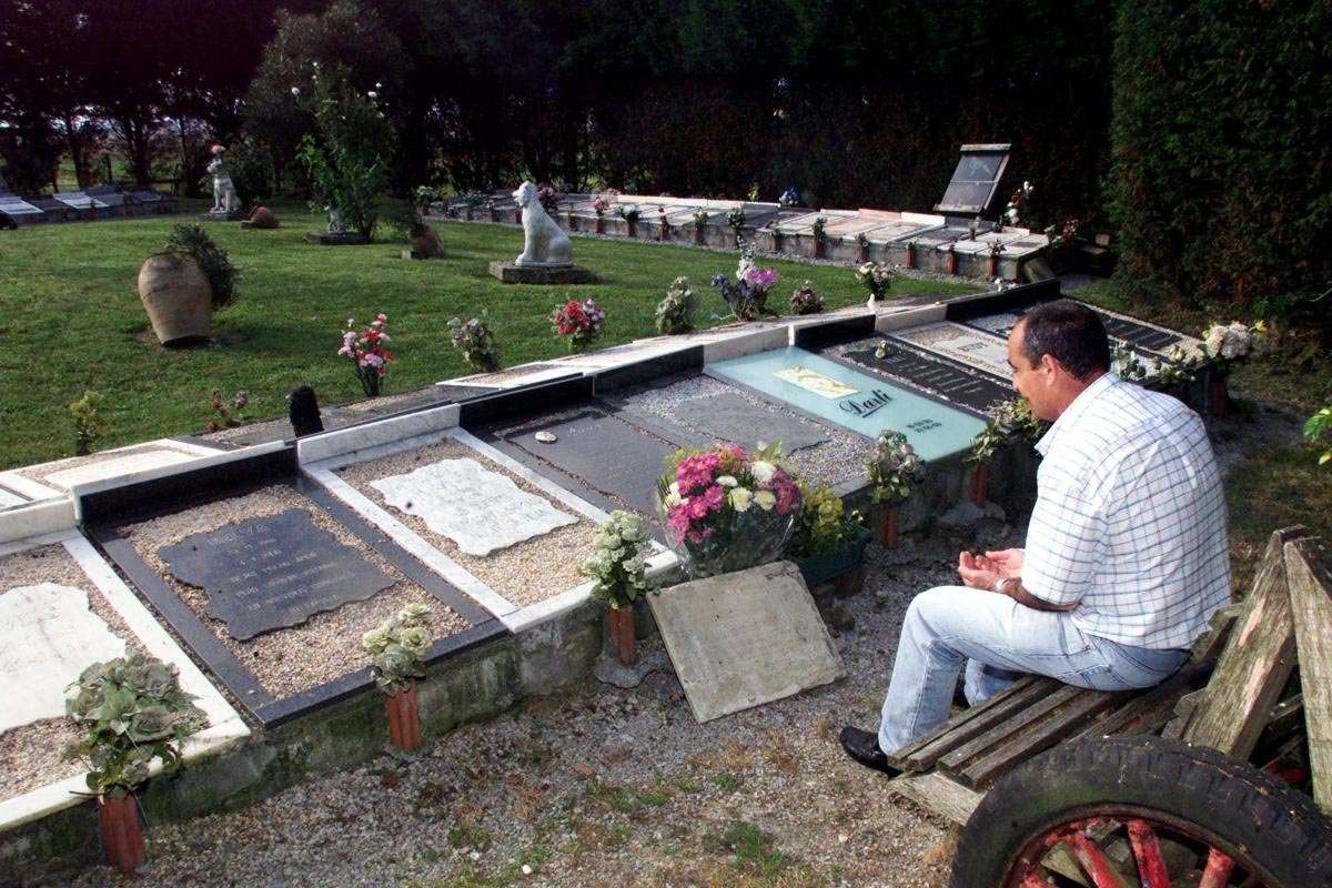 Zigoitia Planea el Primer Cementerio de Mascotas en Álava