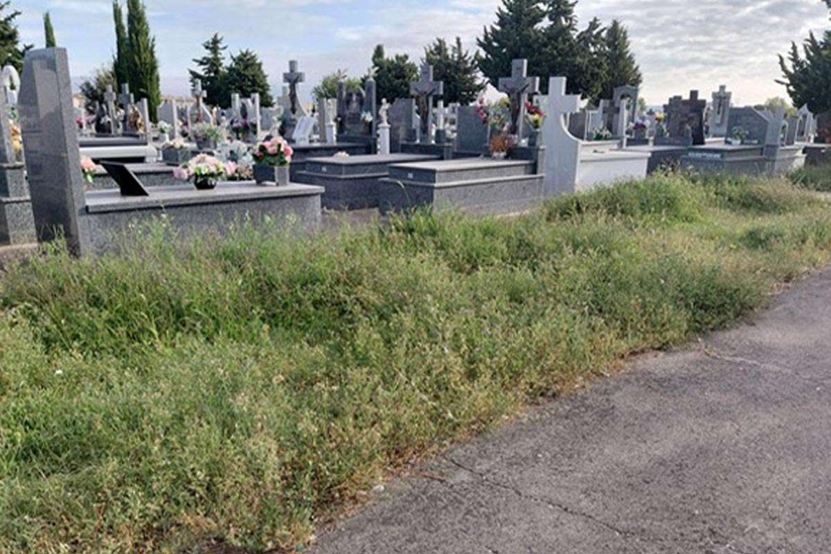 Un cementerio descuidado preocupa a los zamoranos