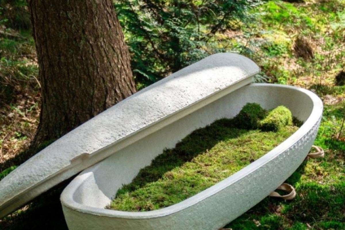Ataúd viviente de hongos revoluciona la industria funeraria