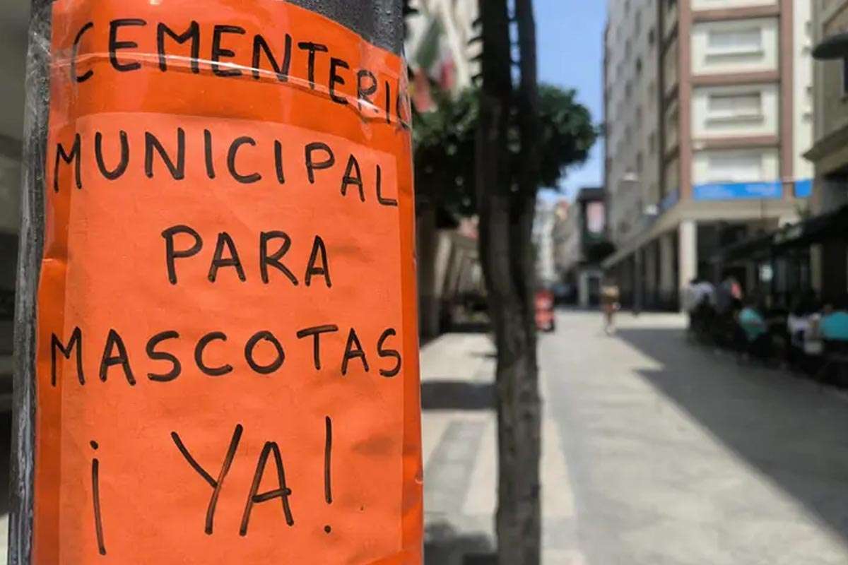 PSOE de Ceuta Interpela al Gobierno sobre el Futuro del Crematorio de Mascotas