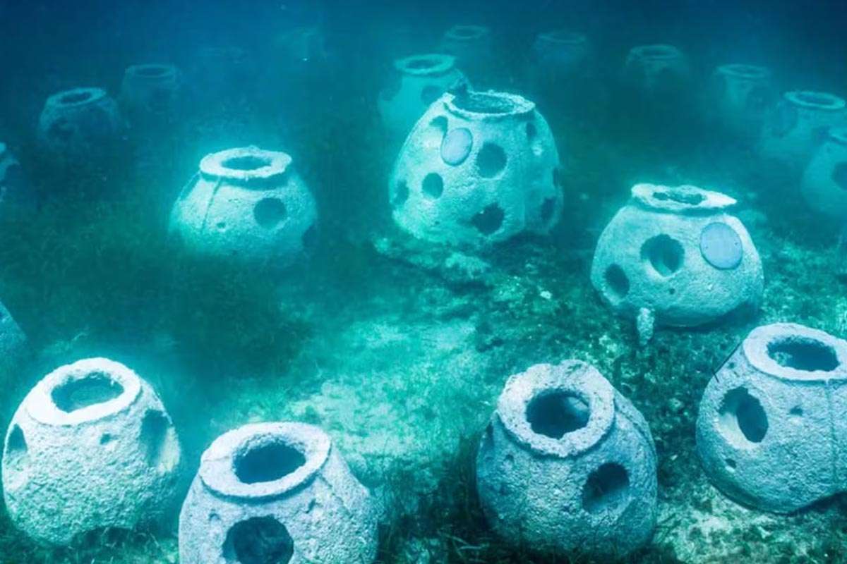 La muerte verde: el último adiós sostenible