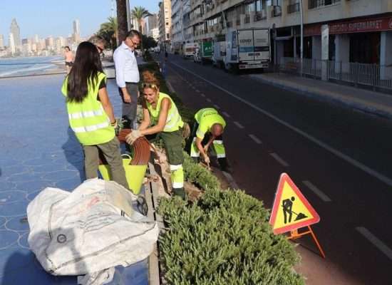 Benidorm se Viste de Colores para el Día de Todos los Santos