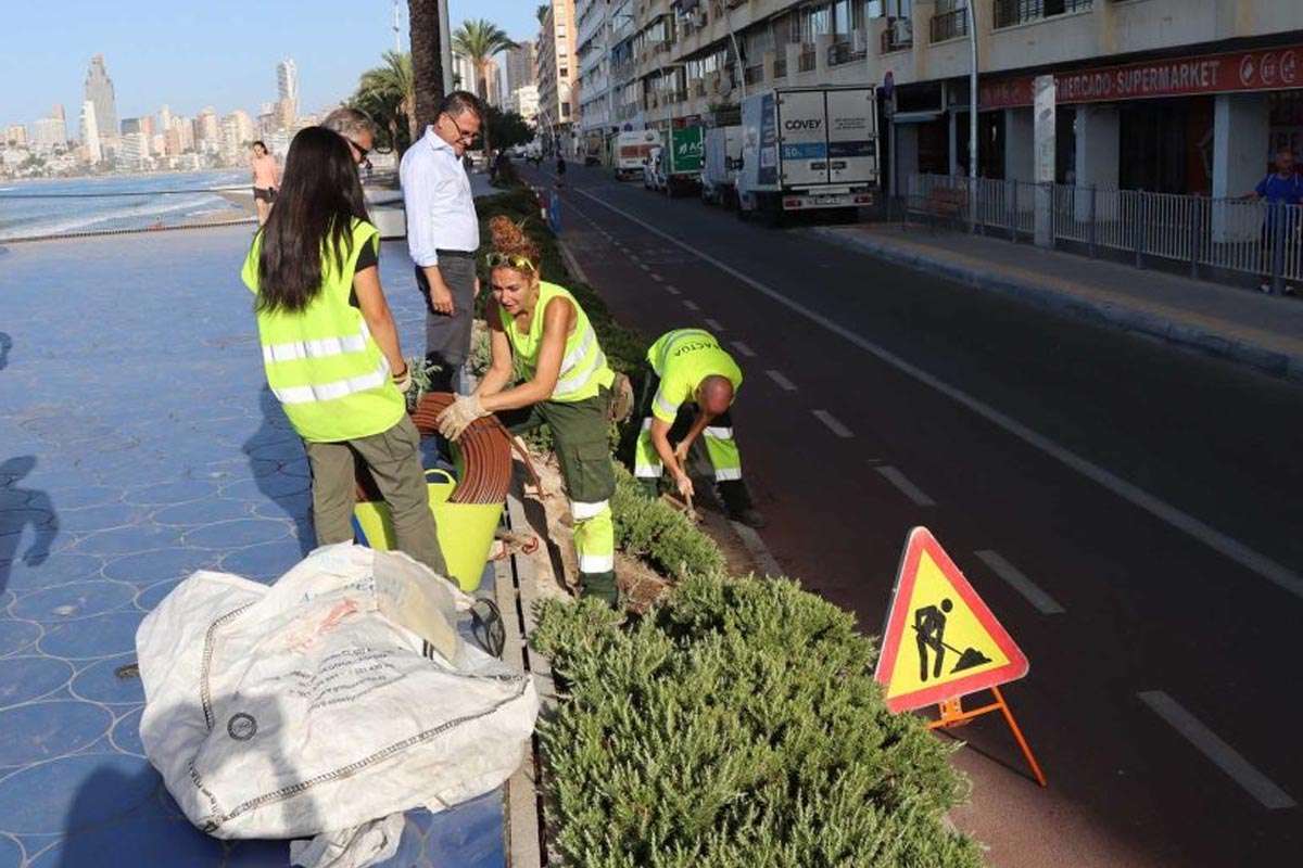Benidorm se Viste de Colores para el Día de Todos los Santos