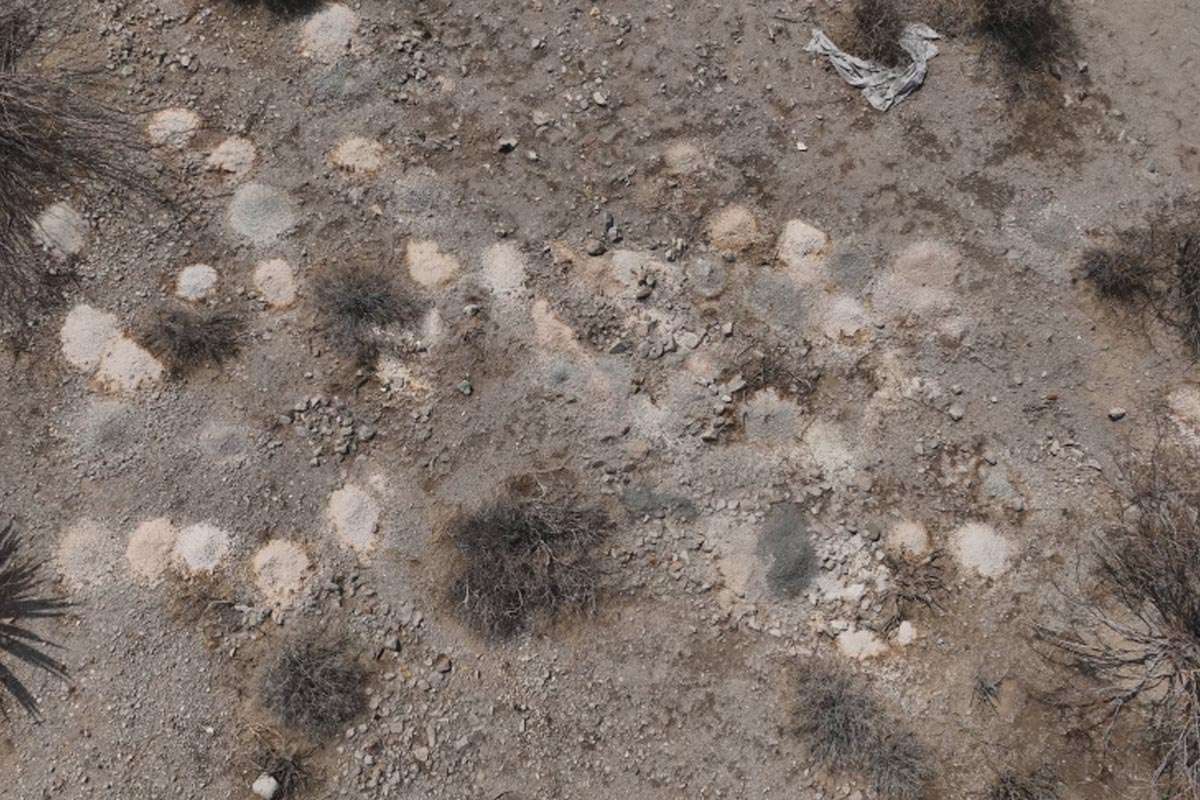 Misterio y respeto: la recuperación de restos humanos en el desierto de Las Vegas