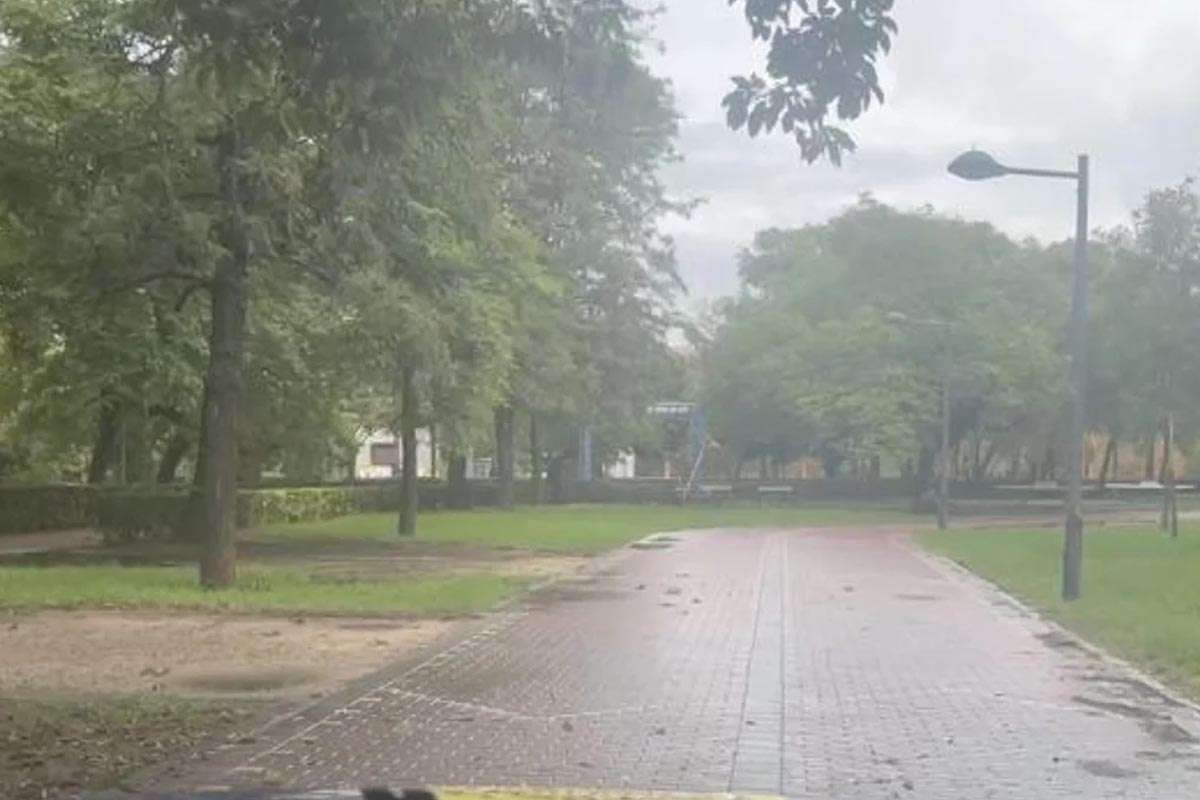 Valencia recupera la normalidad: reabren parques y cementerios tras las lluvias