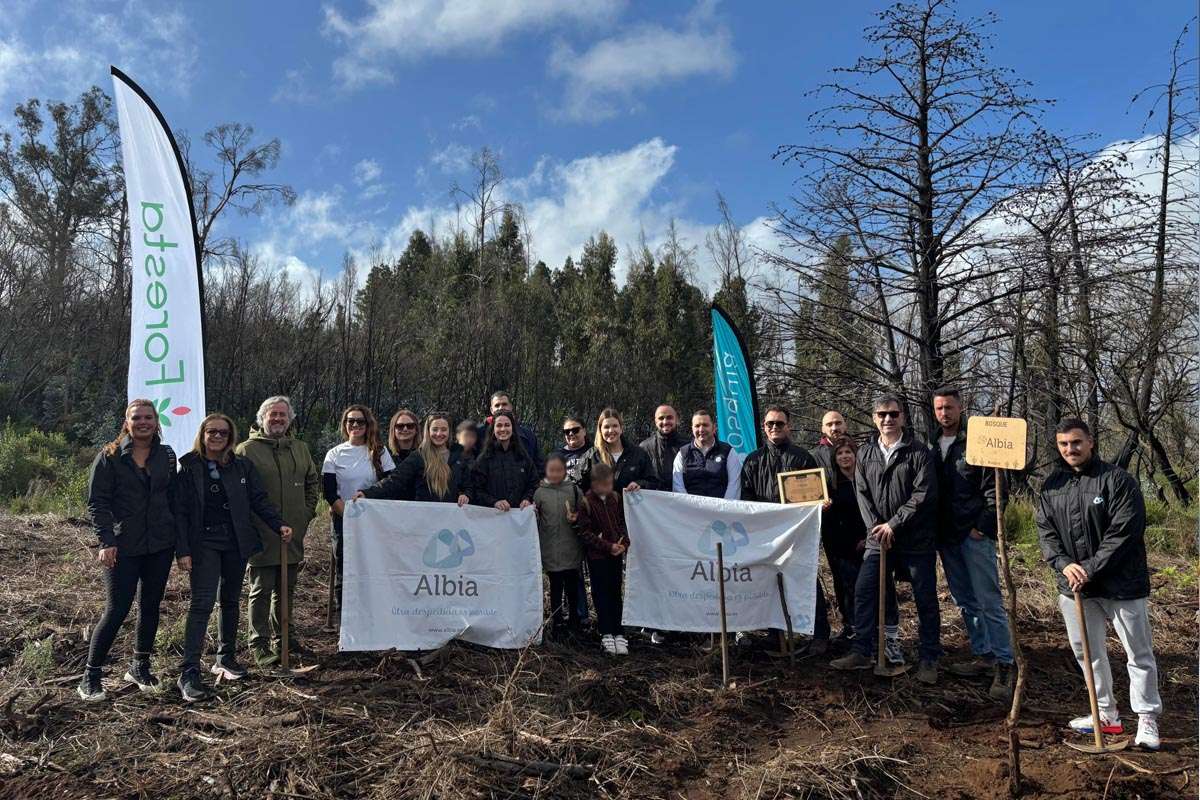 Un bosque renace en Tenerife Norte gracias a la iniciativa ambiental de Grupo Albia