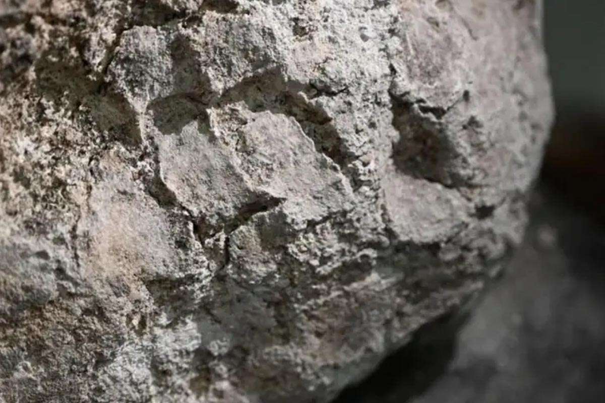 Un sarcófago romano revela huellas humanas de hace 1.700 años en un ritual funerario con yeso