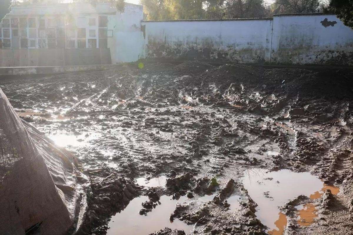 Familias claman por dignidad en fosas del Cementerio la Salud en Córdoba
