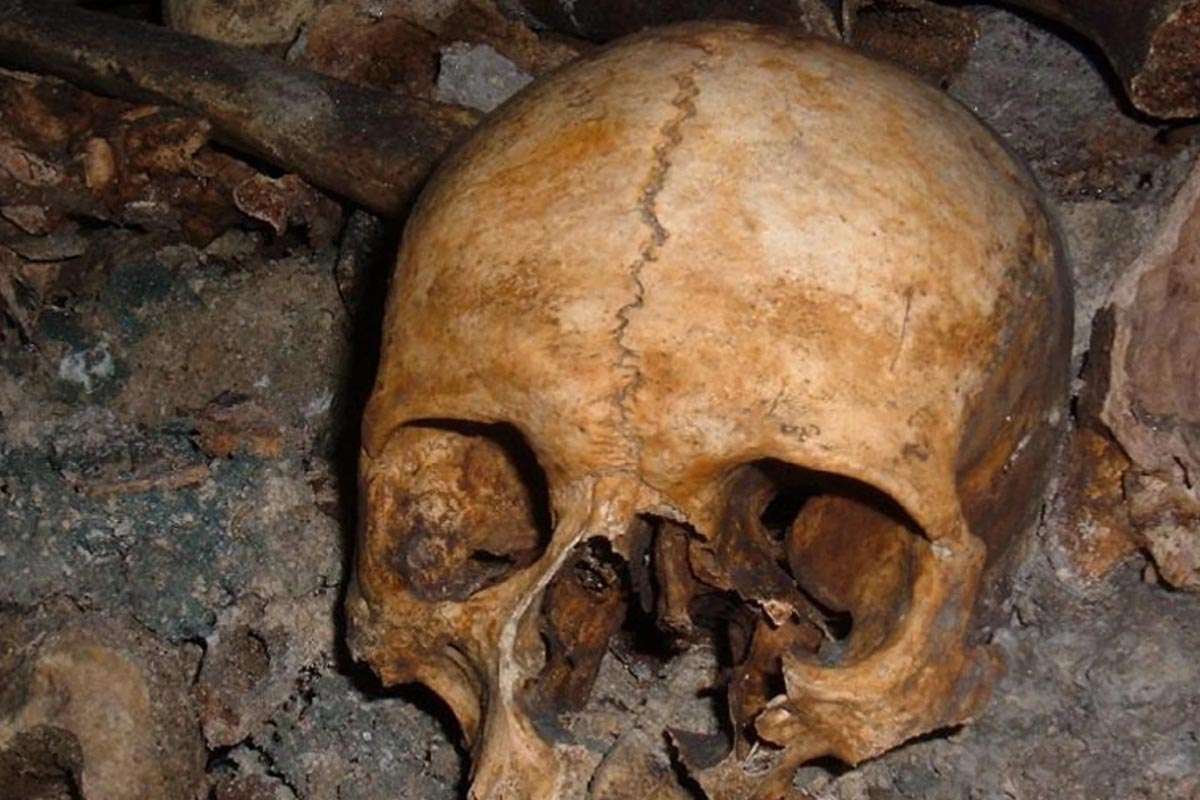 Desmantelan red de tráfico de restos humanos en Pensilvania: cráneos y huesos a la venta en internet