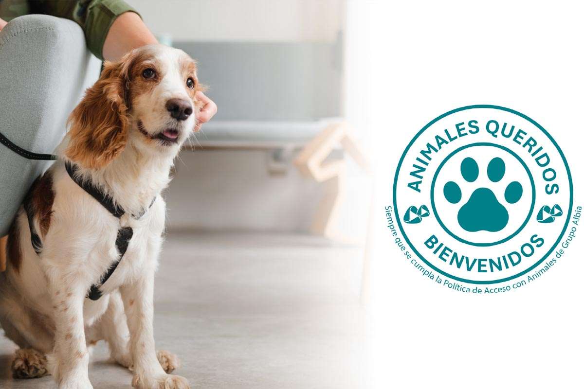 Grupo Albia abre sus puertas a los animales en el momento de la despedida