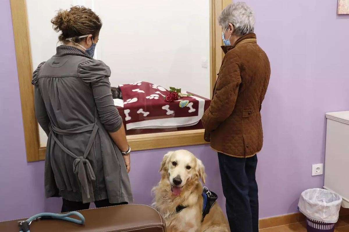 La última despedida a las mascotas en Vigo se multiplica por tres