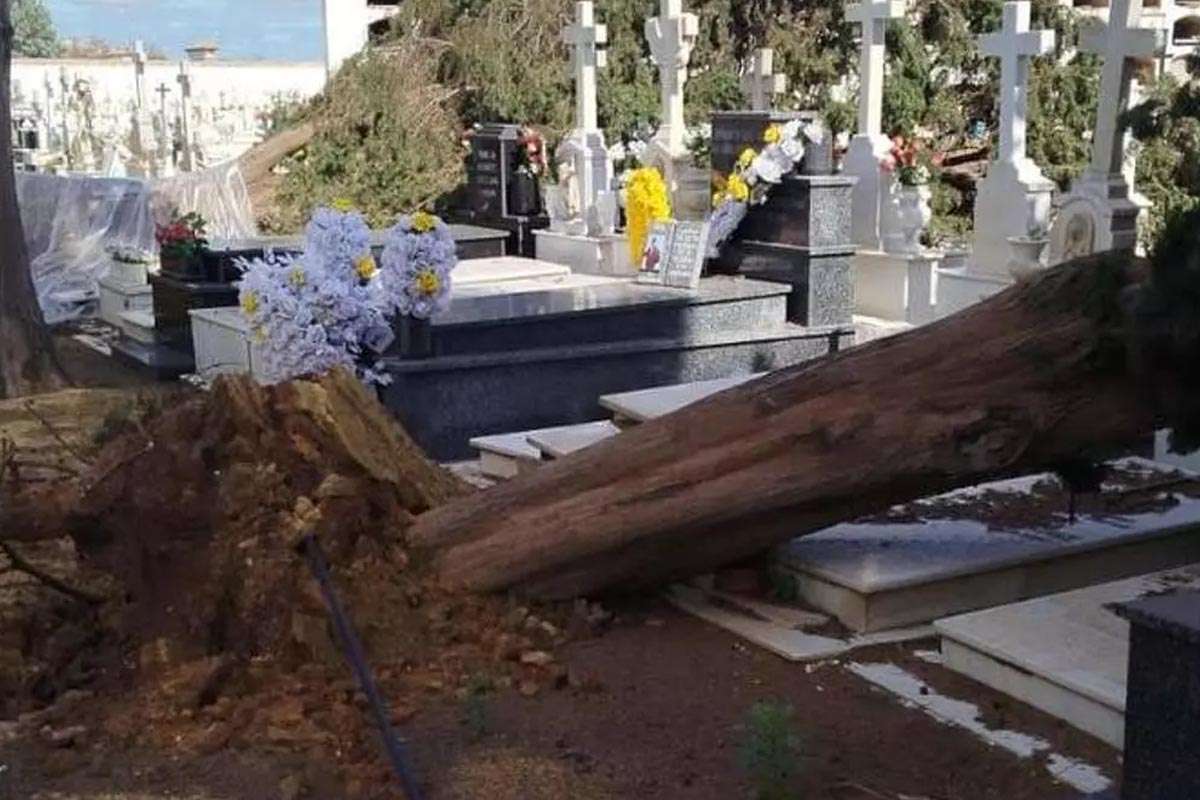 Temporal en Sevilla deja un rastro de destrucción en el Cementerio municipal