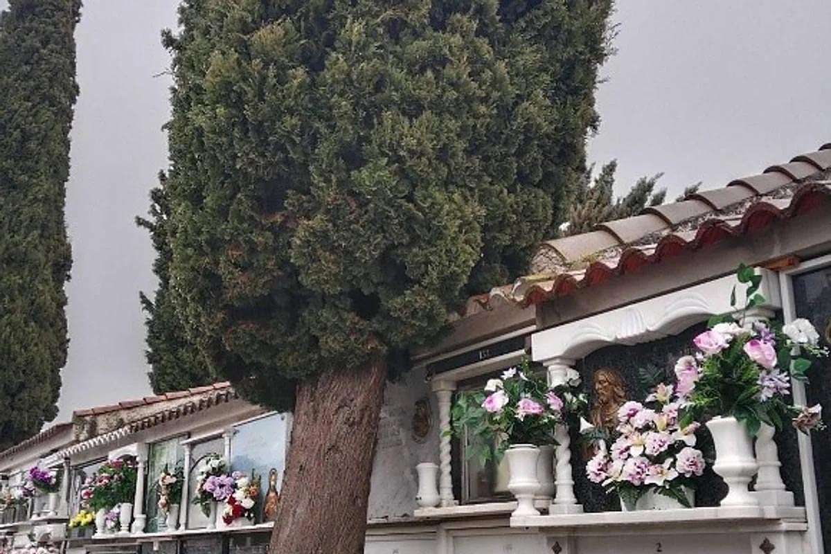 Íllora bajo la tormenta: borrascas ponen en jaque a los cementerios