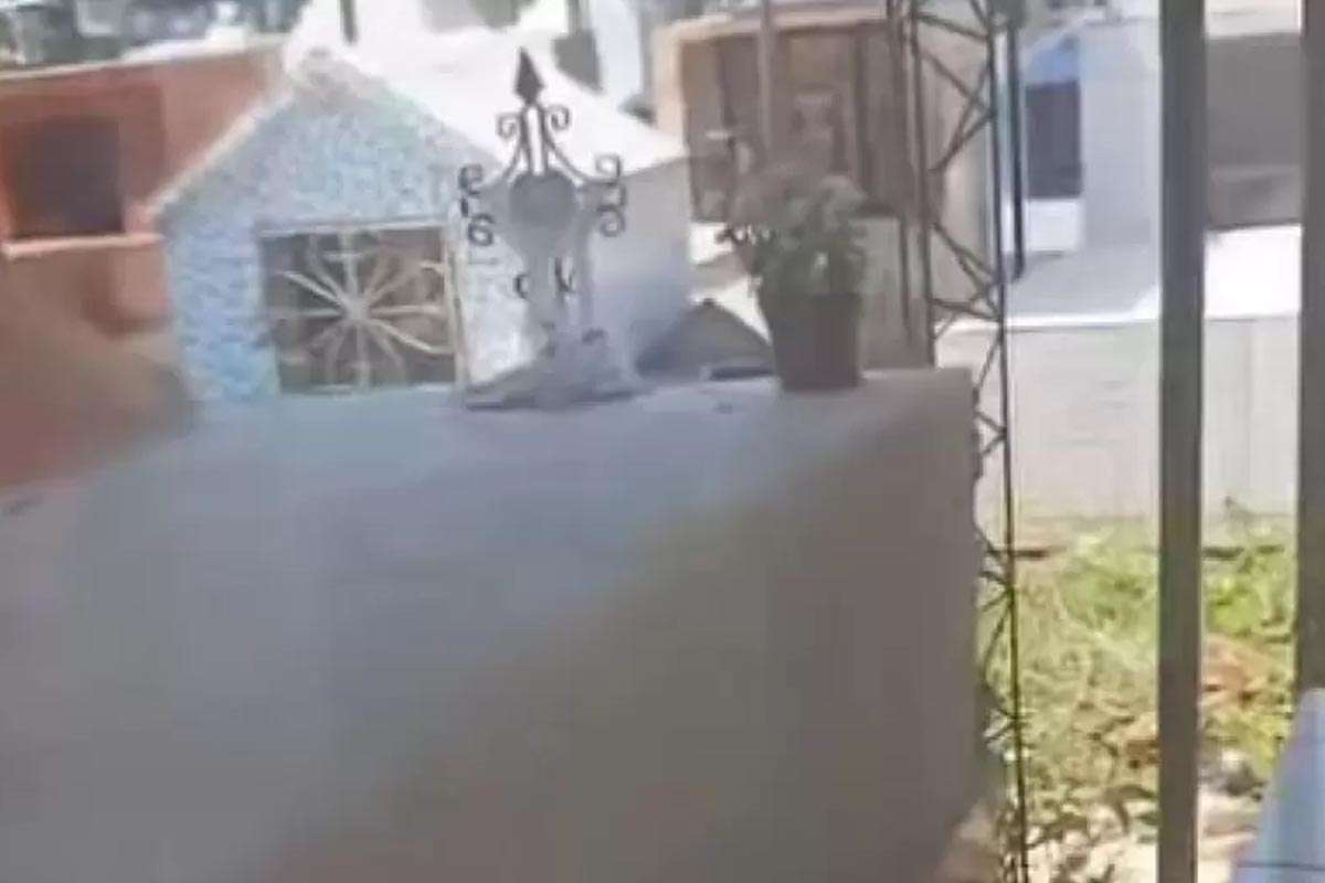 Colapso en un cementerio: el calor y la humedad crean un fenómeno insólito