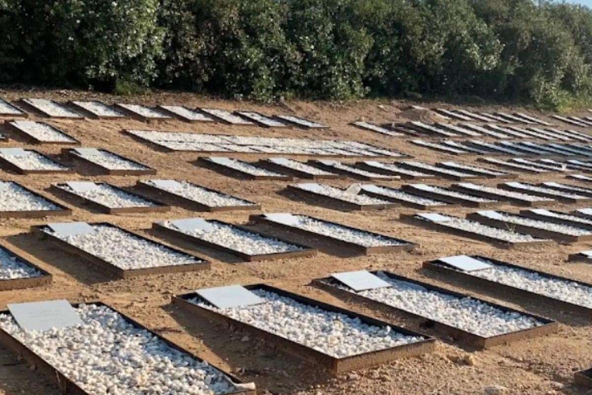 Manzanares El Real: Un documental que desafía la escasez de cementerios musulmanes en España