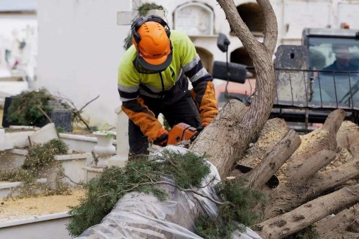 Sevilla busca soluciones para floristas afectados por el cierre del cementerio