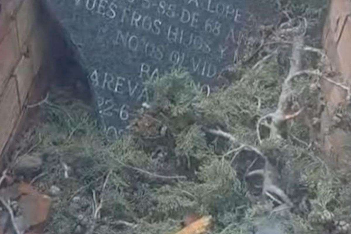 El dolor tras el colapso: un árbol destruye una tumba familiar en Puertollano