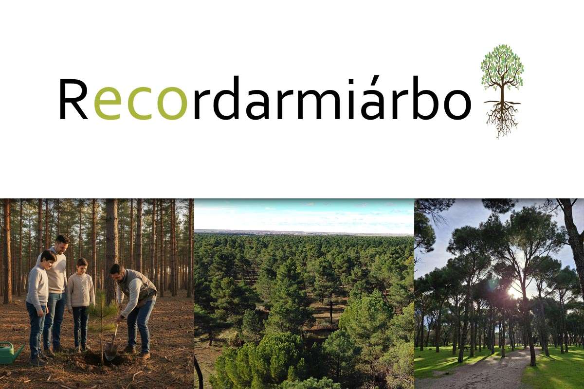 El ciclo de la vida en un abrazo: la revolución de los ecofunerales