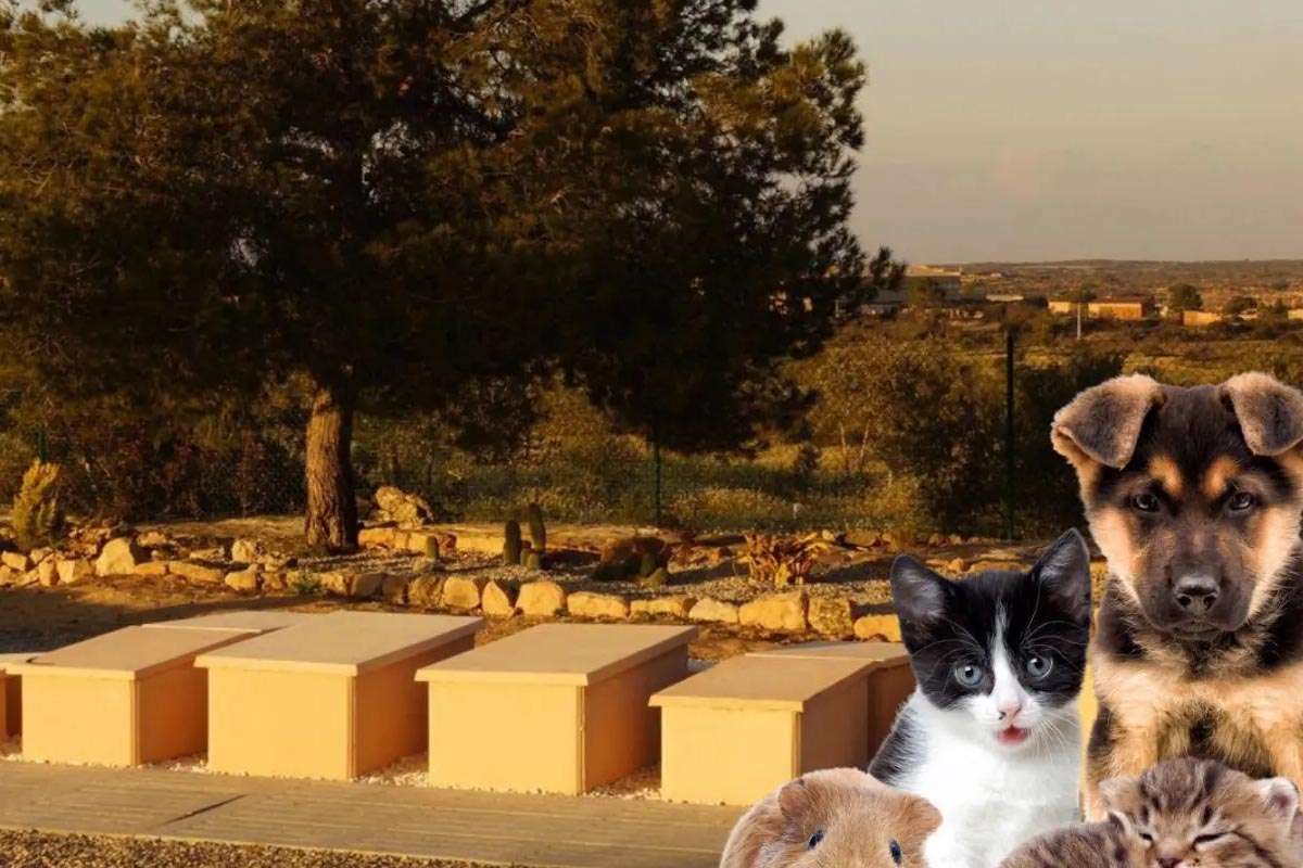 Lleida abre sus puertas al primer adiós digno para mascotas