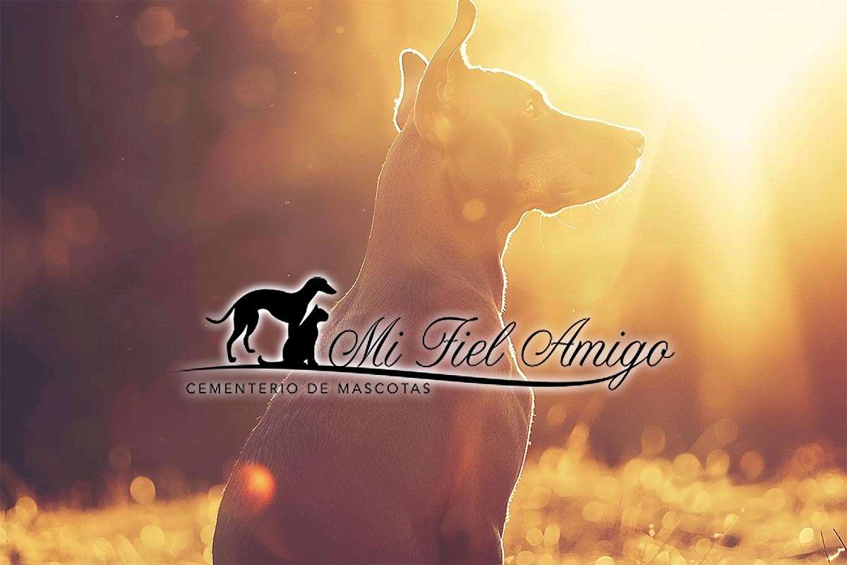 “Mi fiel amigo”, el primer cementerio animal de Elche para quienes quieren recordar a su mascota conforme a la ley