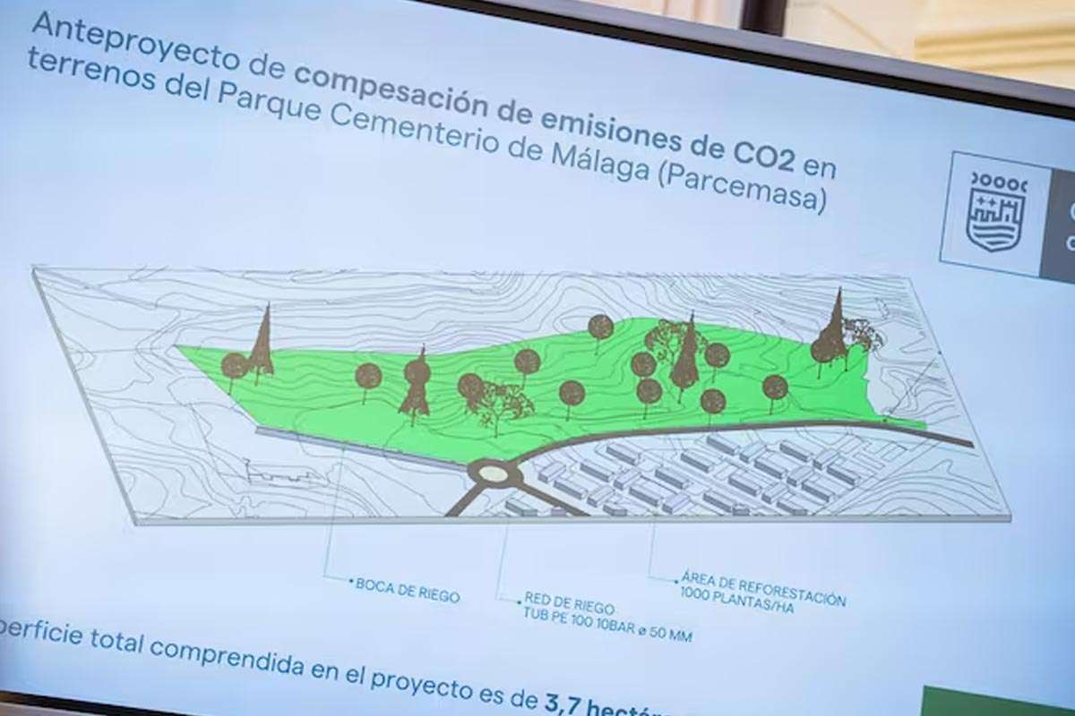 Málaga da un paso verde: 3.700 árboles nuevos en el cementerio de San Gabriel