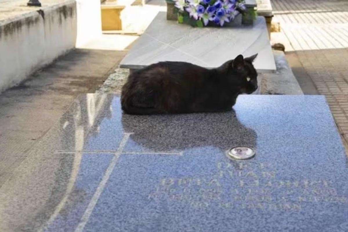 Uruguay abre el camino para el descanso conjunto de humanos y mascotas