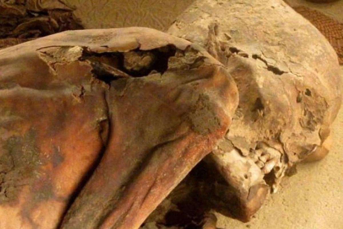 Revolución forense: cómo la Universidad de Granada desvela secretos ocultos en los huesos