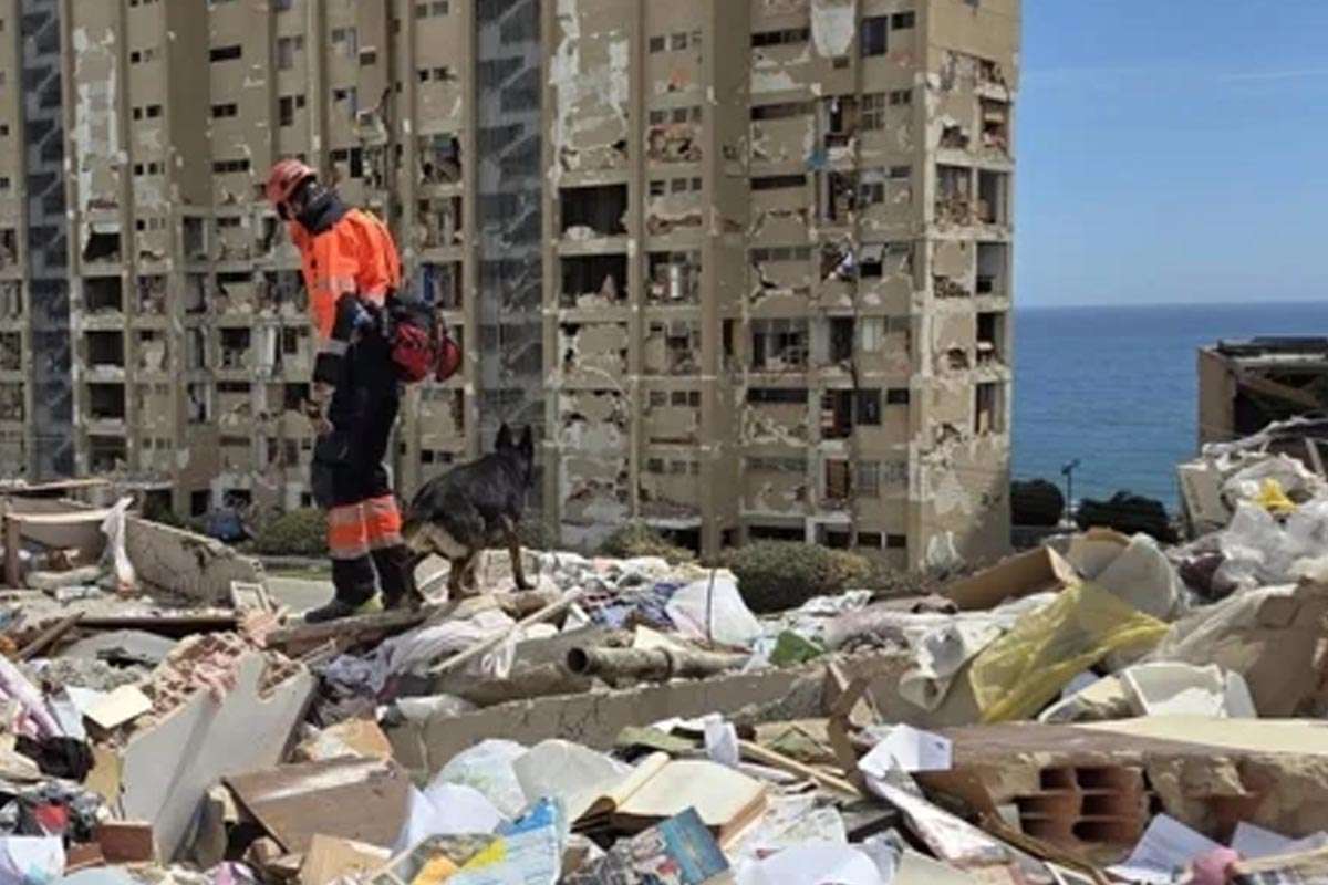 Una llamada urgente llevó a un bombero y su perro a enfrentar la devastación en Venezuela