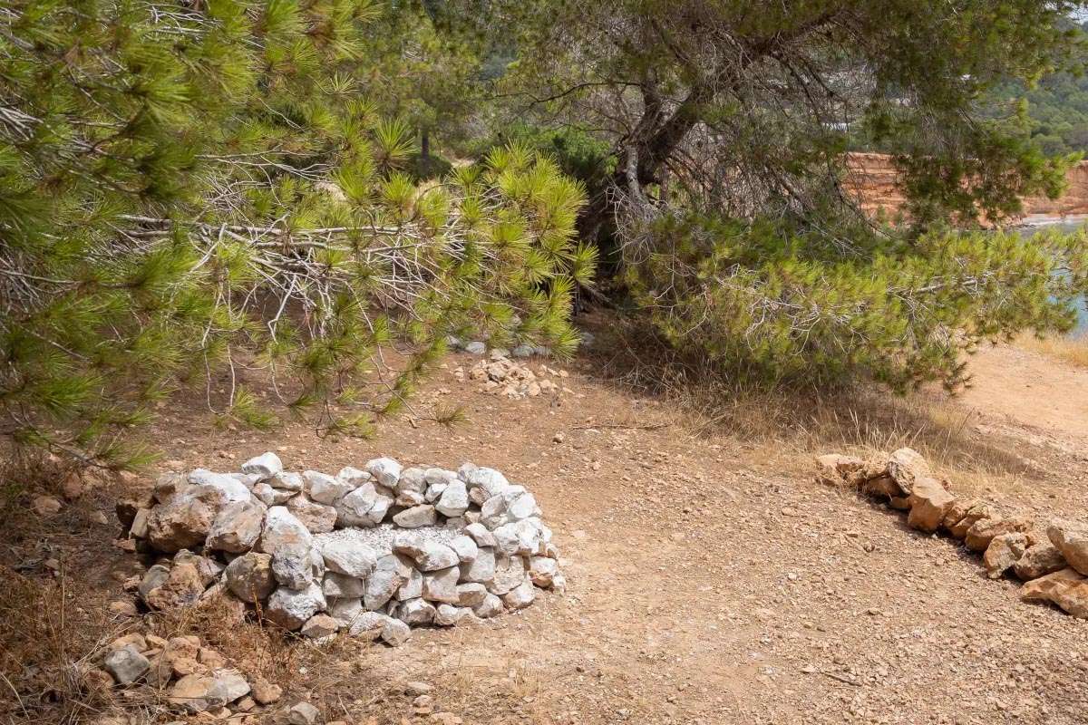 El adiós clandestino a las mascotas en Ibiza desafía la normativa