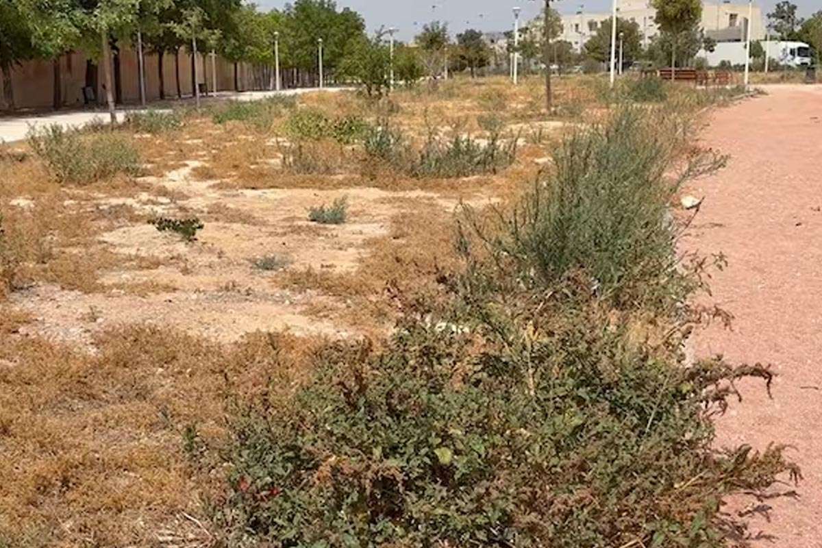 PSOE Elche exige acción urgente ante el deterioro del Cementerio Viejo