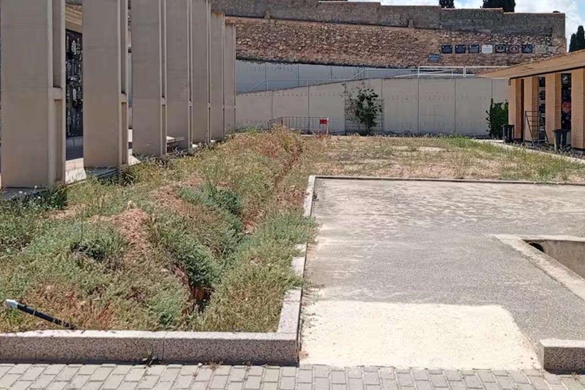 Indignación en Villena por las deficiencias en el servicio del cementerio municipal