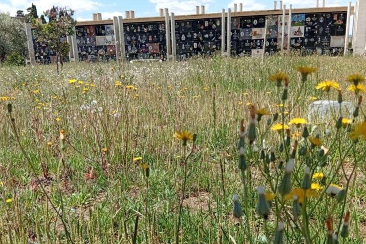 Villena avanza en la ampliación del cementerio con una inversión millonaria