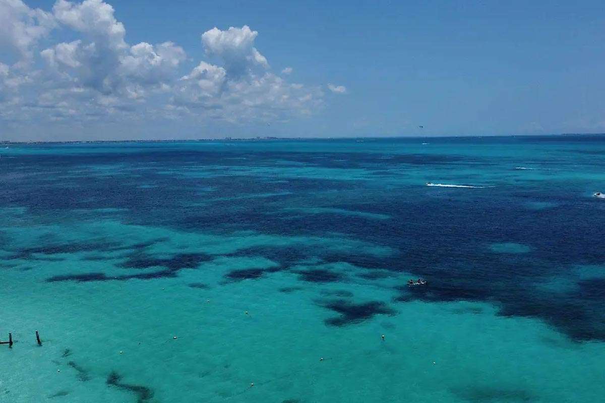 Arrecifes de cenizas: el nuevo santuario marino en Cancún