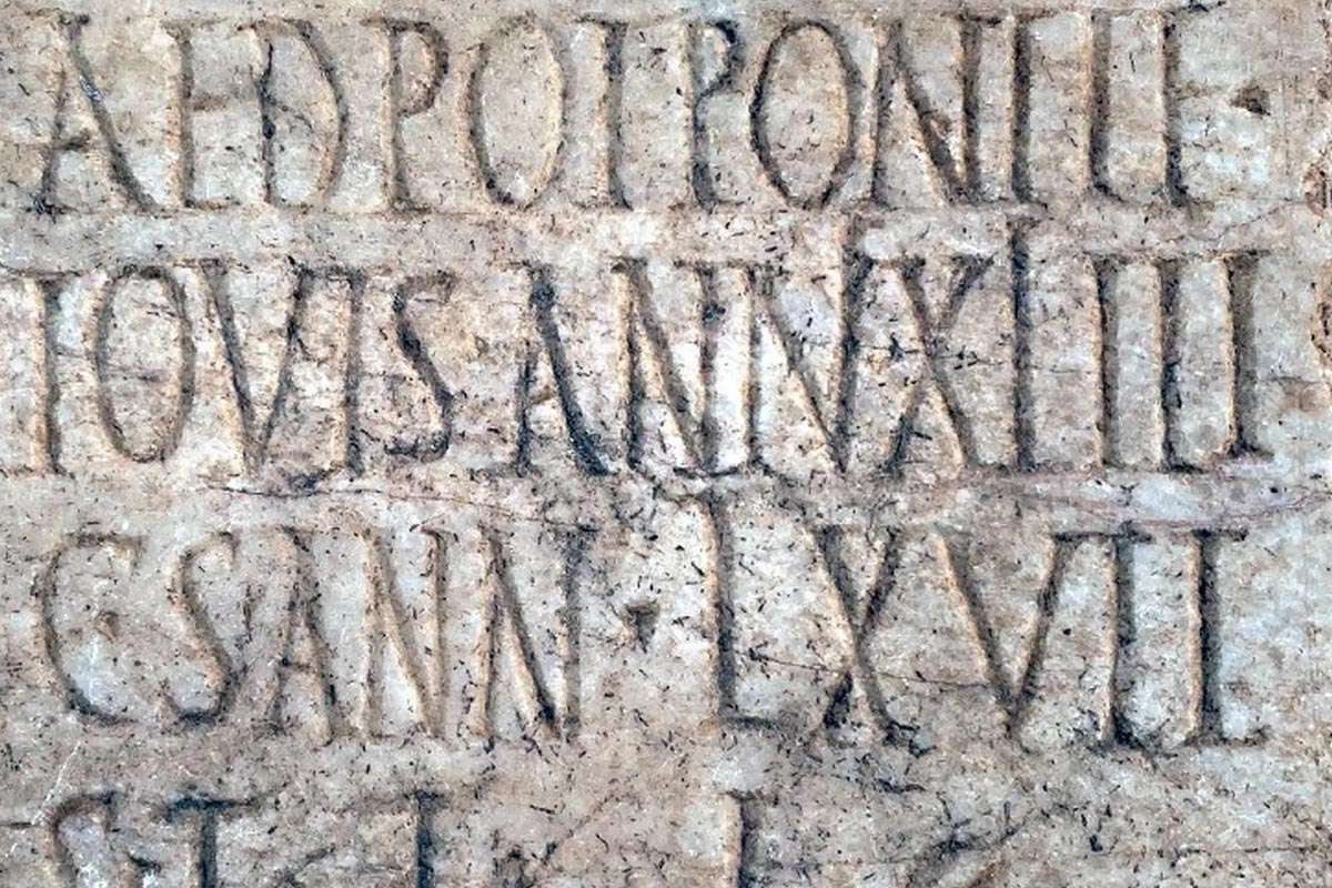 Cádiz compite en los Premios +Historia con un hallazgo funerario romano