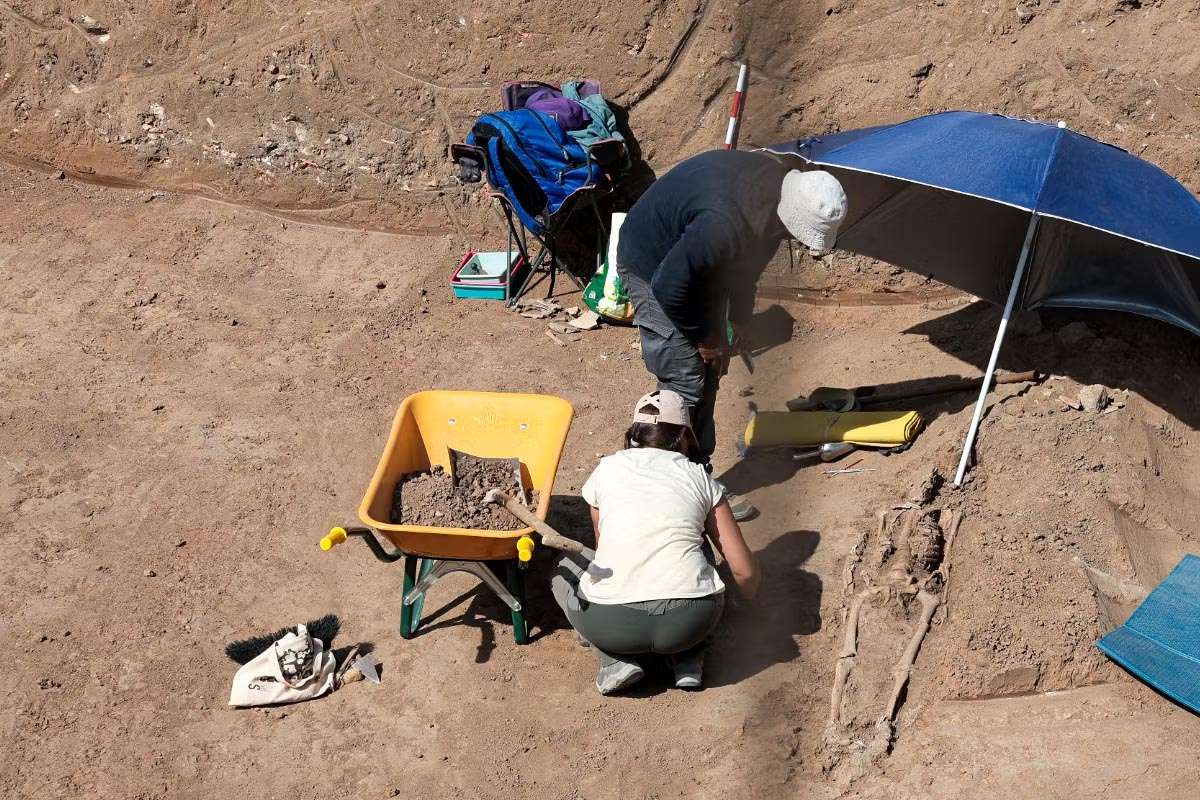 Toledo: hallan restos humanos en obras de un futuro edificio de viviendas